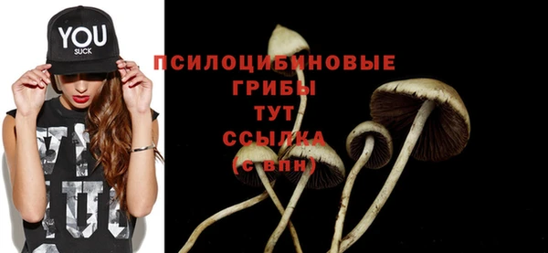 соль ск Гусь-Хрустальный
