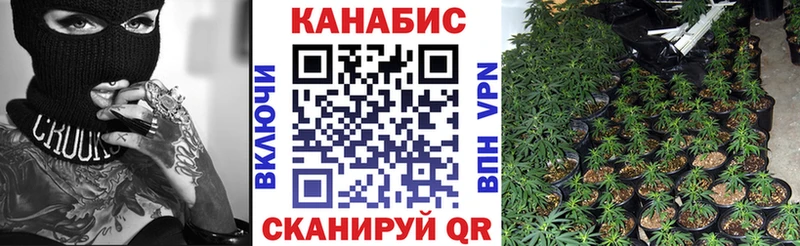 Бошки марихуана марихуана  Грязовец 